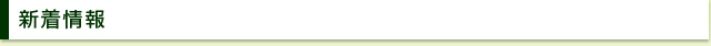 ひたちなか市,水戸市,腰痛,肩こり,マッサージ,ひたちなか医研,大谷バランス整体院,ぎっくり腰,口コミ
