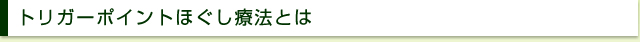 ひたちなか市,東海村,坐骨神経痛,整体,腰痛,肩こり,マッサージ,頭痛,評判,カイロ