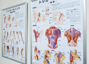 ひたちなか市,東海村,坐骨神経痛,整体,腰痛,肩こり,マッサージ,頭痛,評判,カイロ